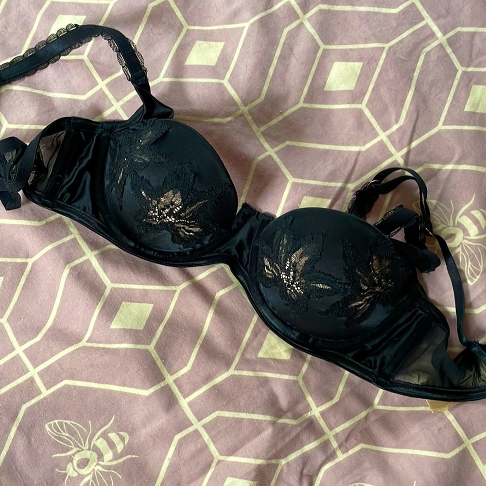 Silk Dita Von Teese bra